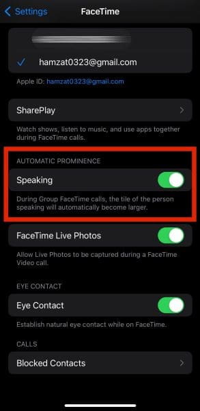 Enabling Speaking Feature for FaceTime