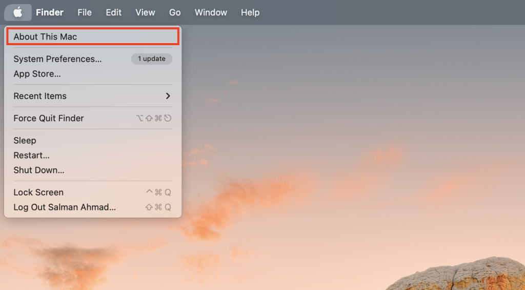 About This Mac option in the Apple Menu bar