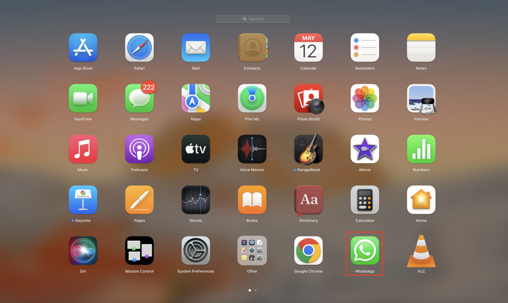 Application in macOS Launchpad