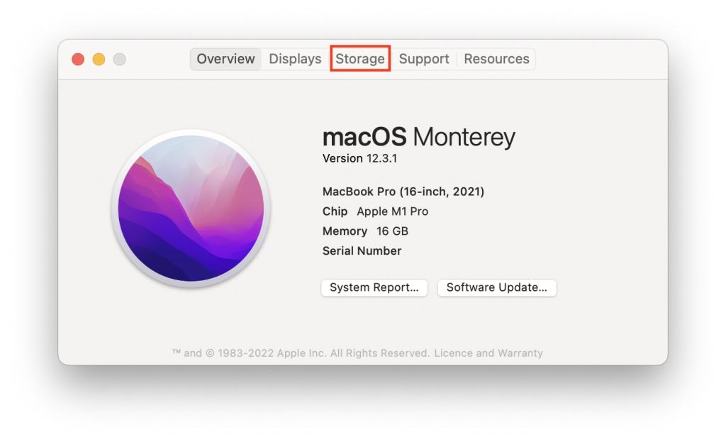 Storage tab in Mac's system info window
